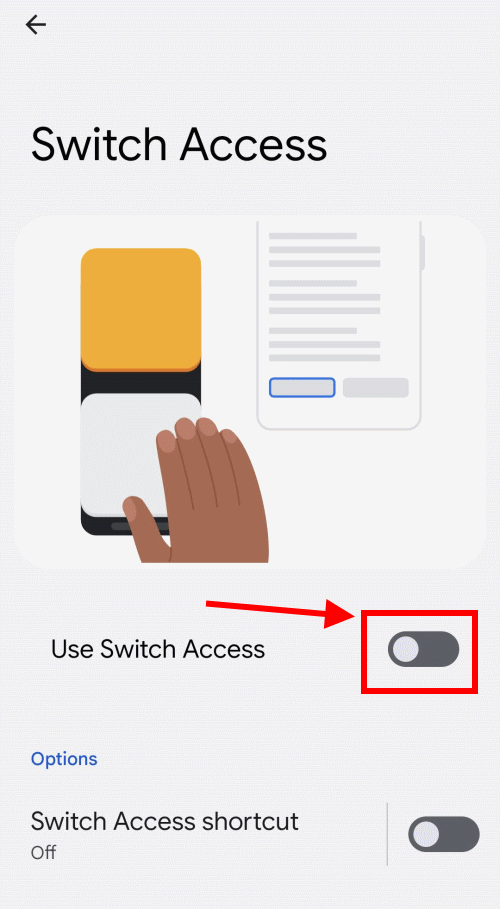 Tap the toggle switch for Switch Access to turn it on